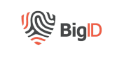 Logo BigID